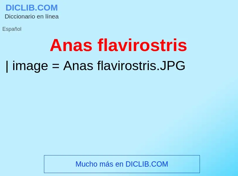 ¿Qué es Anas flavirostris? - significado y definición