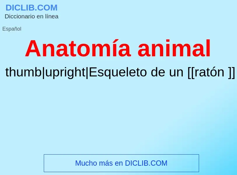 ¿Qué es Anatomía animal? - significado y definición