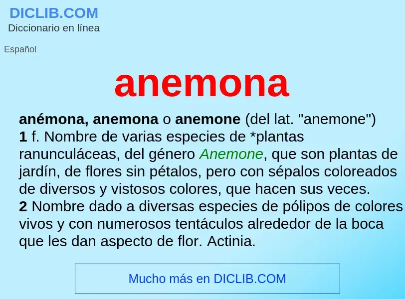 ¿Qué es anemona? - significado y definición