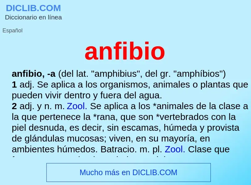 What is anfibio - definition