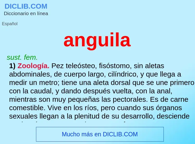 What is anguila - definition