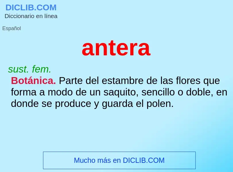 ¿Qué es antera? - significado y definición