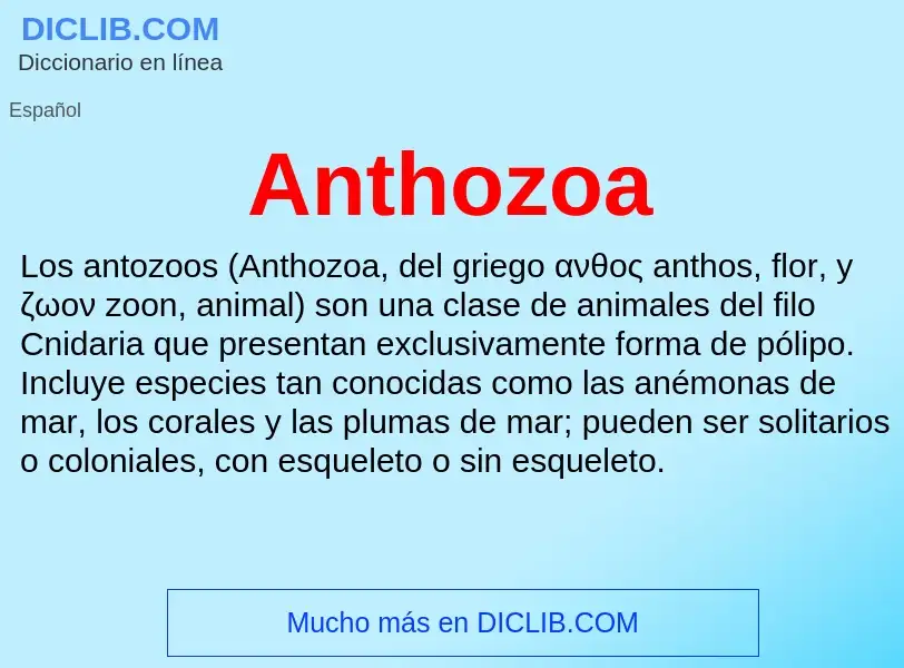 ¿Qué es Anthozoa? - significado y definición