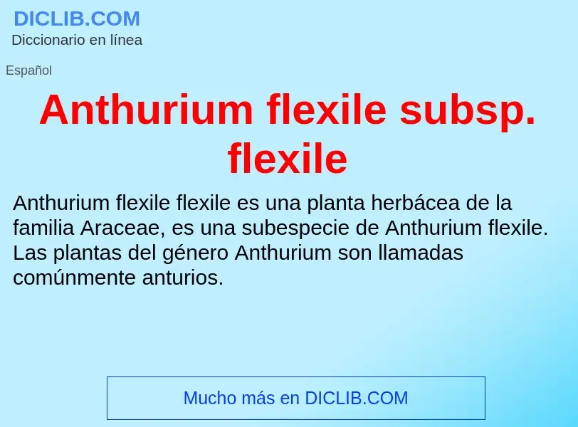 Что такое Anthurium flexile subsp. flexile - определение