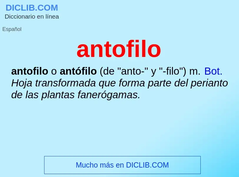 ¿Qué es antofilo? - significado y definición