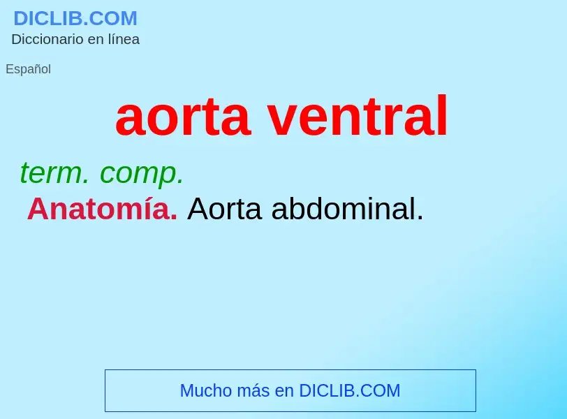 What is aorta ventral - meaning and definition