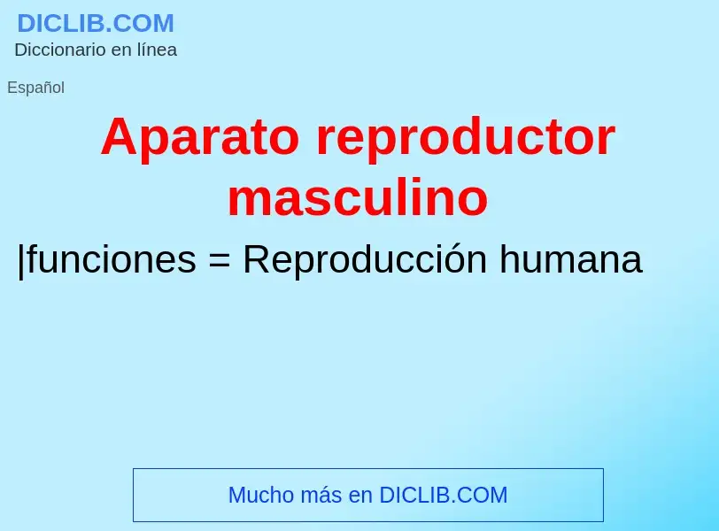 What is Aparato reproductor masculino - meaning and definition