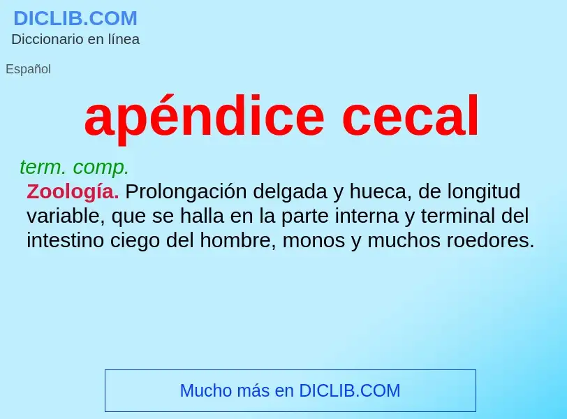 Che cos'è apéndice cecal - definizione