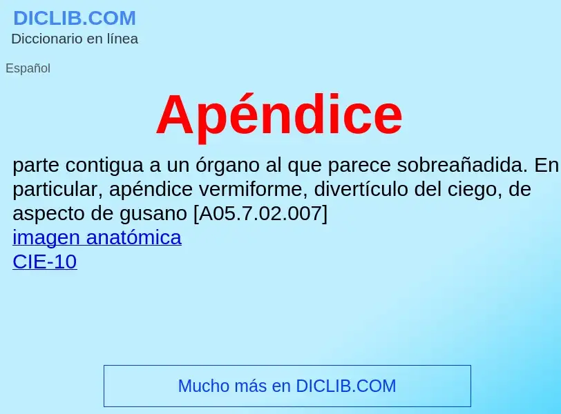 Wat is Apéndice - definition