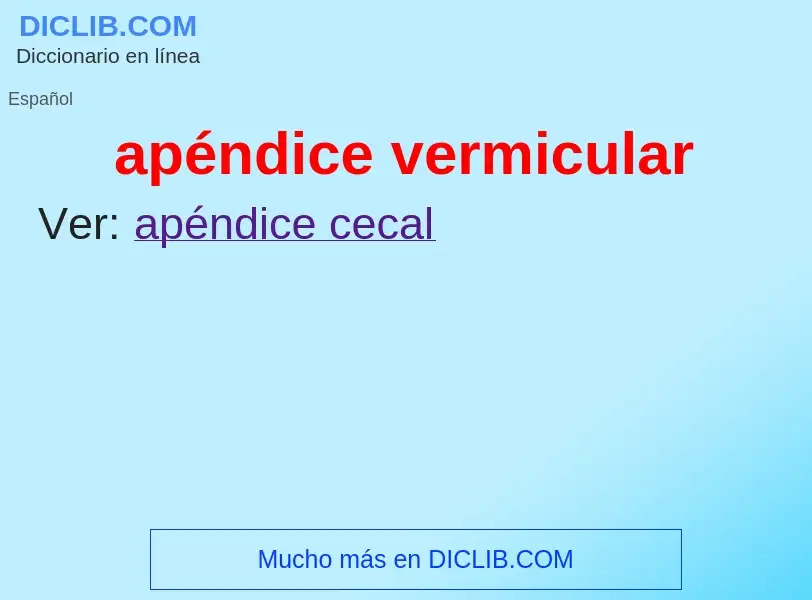 What is apéndice vermicular - meaning and definition