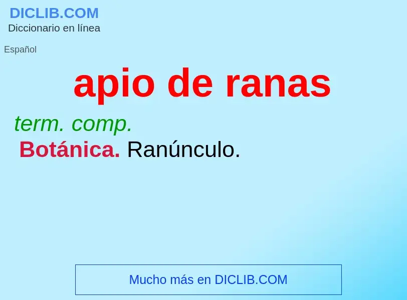 Wat is apio de ranas - definition