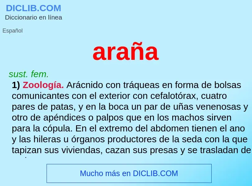 What is araña - meaning and definition