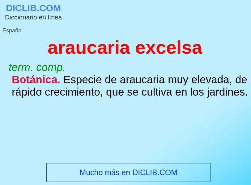 What is araucaria excelsa - definition