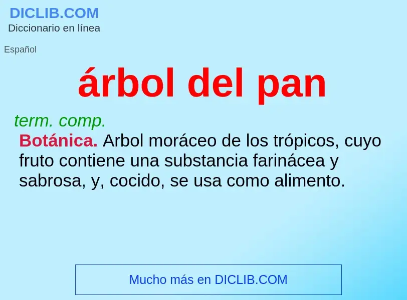 What is árbol del pan - meaning and definition