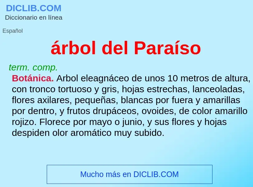 What is árbol del Paraíso - meaning and definition