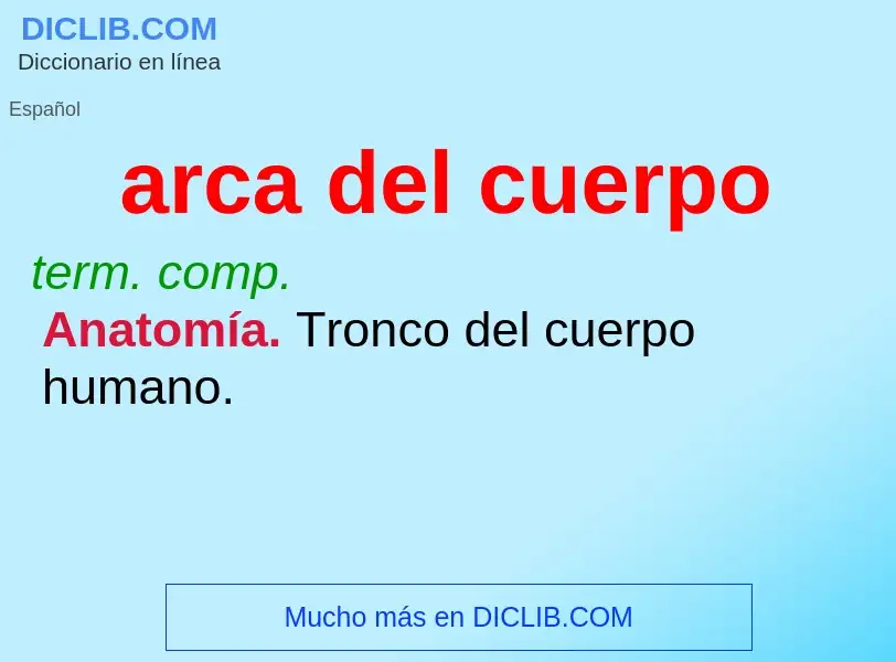 Wat is arca del cuerpo - definition