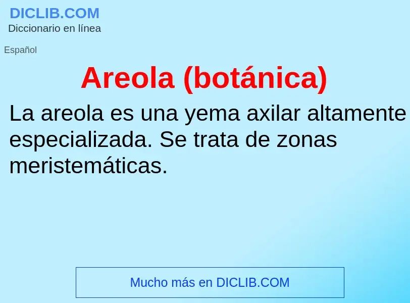 Was ist Areola (botánica) - Definition