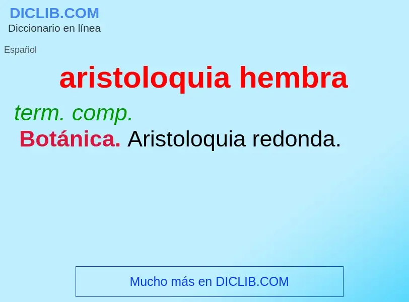 ¿Qué es aristoloquia hembra? - significado y definición