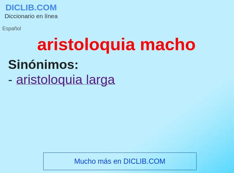 What is aristoloquia macho - meaning and definition