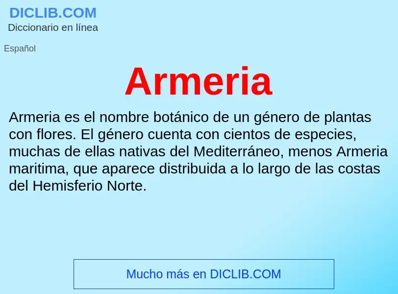 Wat is Armeria - definition