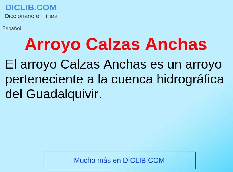 What is Arroyo Calzas Anchas - meaning and definition