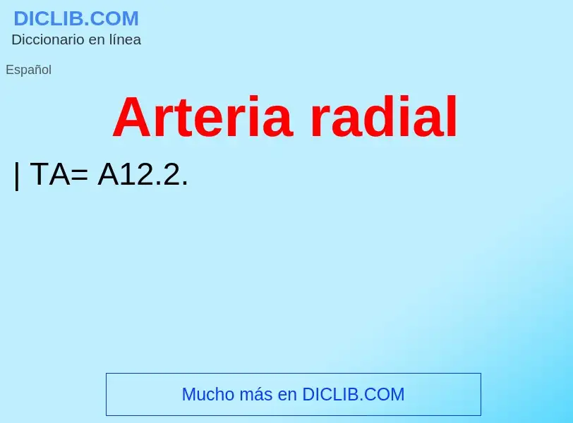 ¿Qué es Arteria radial? - significado y definición