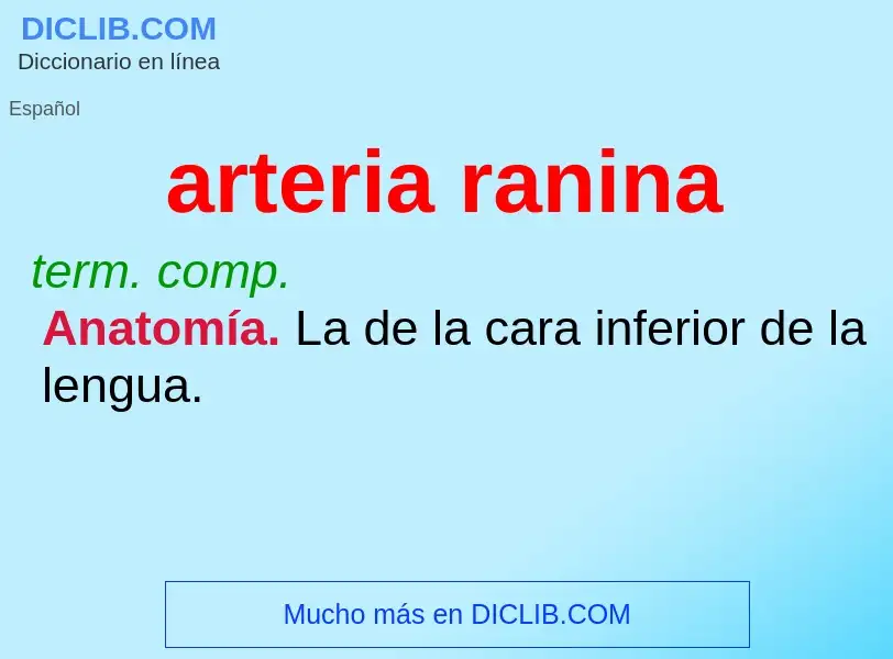 What is arteria ranina - definition