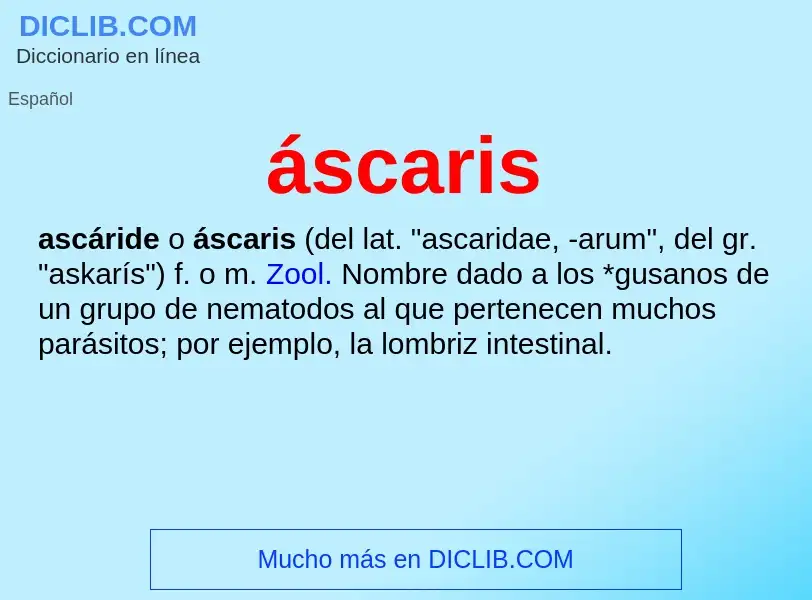 ¿Qué es áscaris? - significado y definición