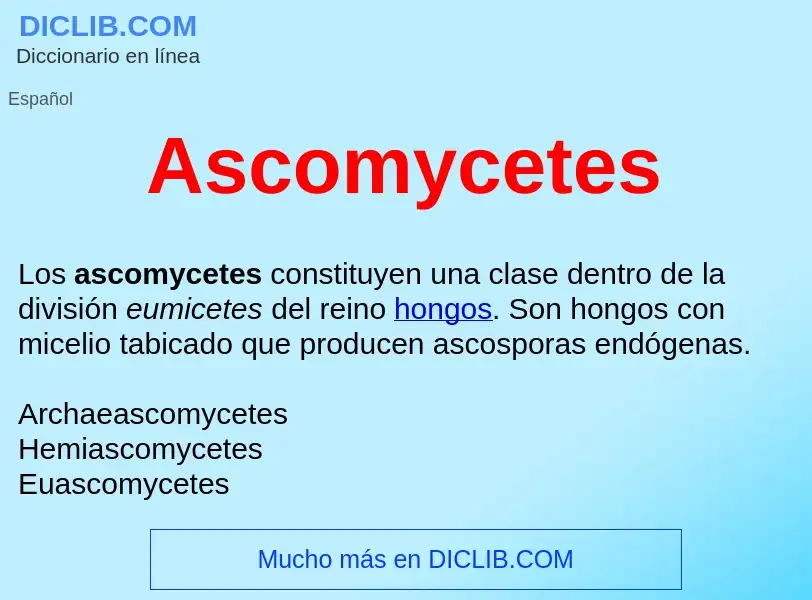 ¿Qué es Ascomycetes ? - significado y definición