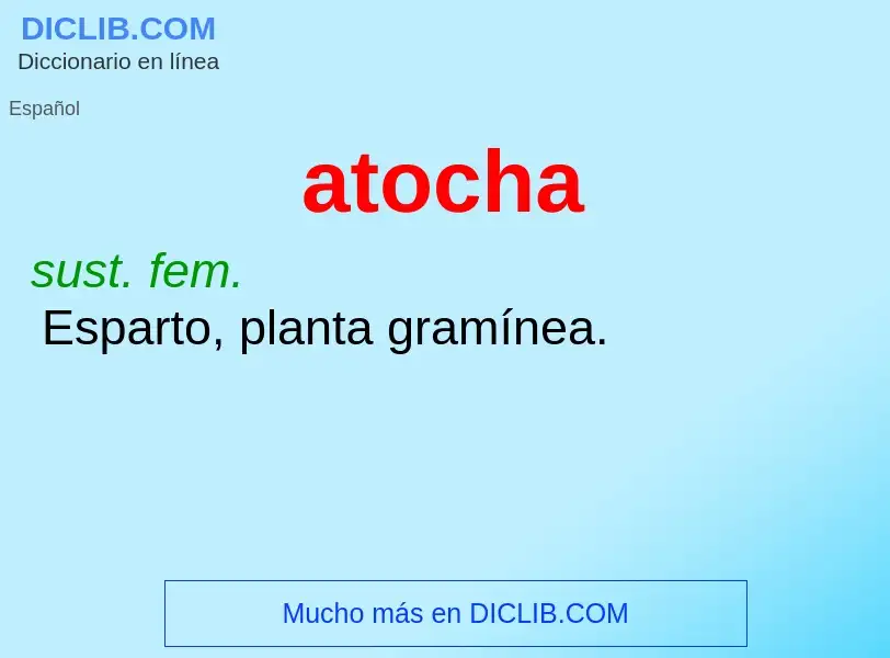 ¿Qué es atocha? - significado y definición