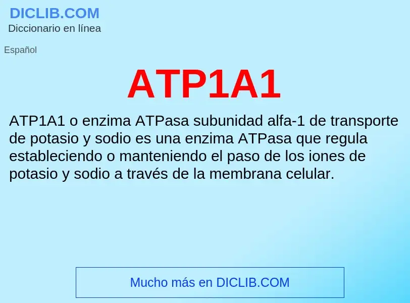 ¿Qué es ATP1A1? - significado y definición