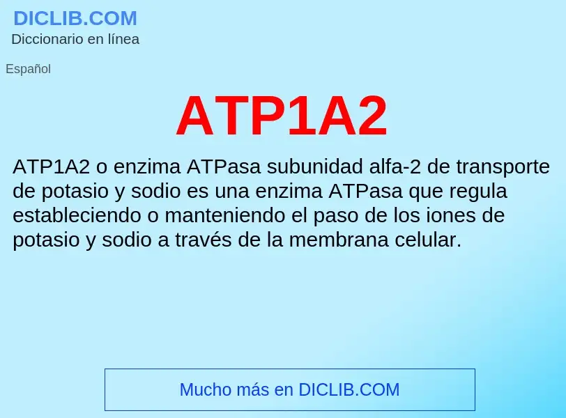 ¿Qué es ATP1A2? - significado y definición