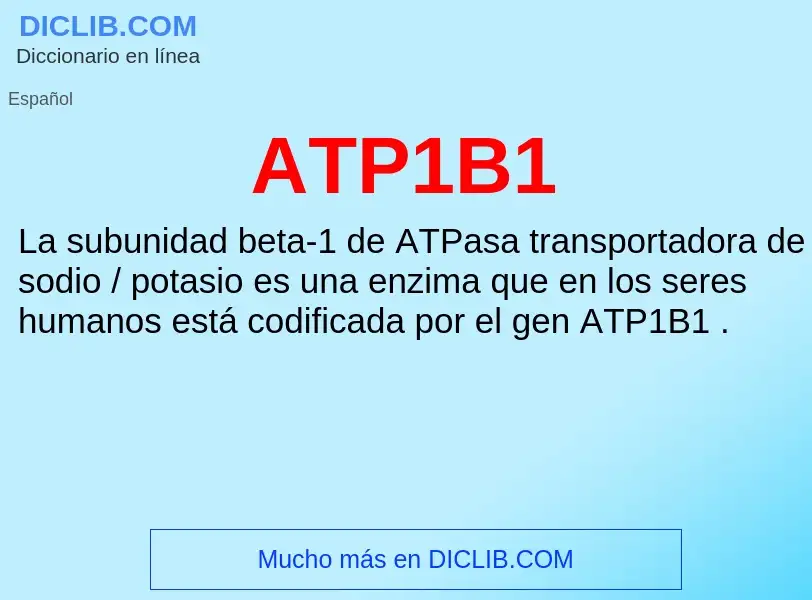 ¿Qué es ATP1B1? - significado y definición