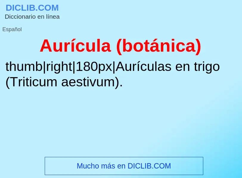 ¿Qué es Aurícula (botánica)? - significado y definición