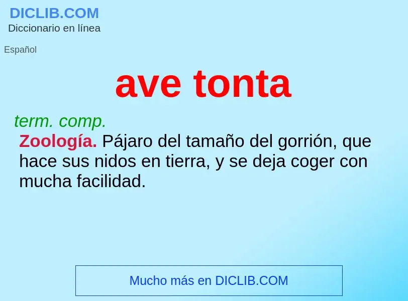 What is ave tonta - definition