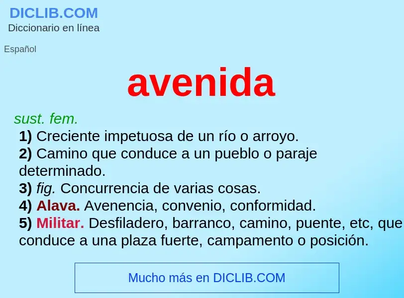 What is avenida - meaning and definition