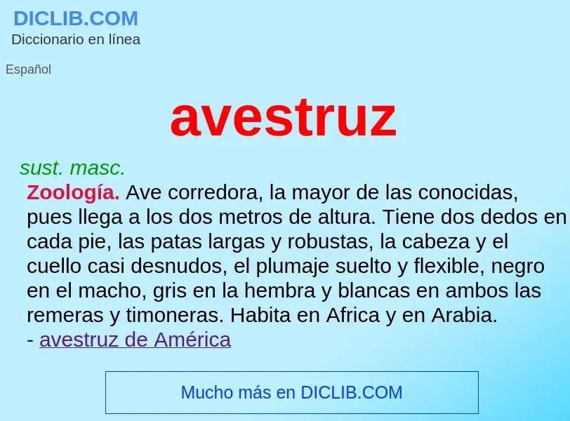 What is avestruz - definition