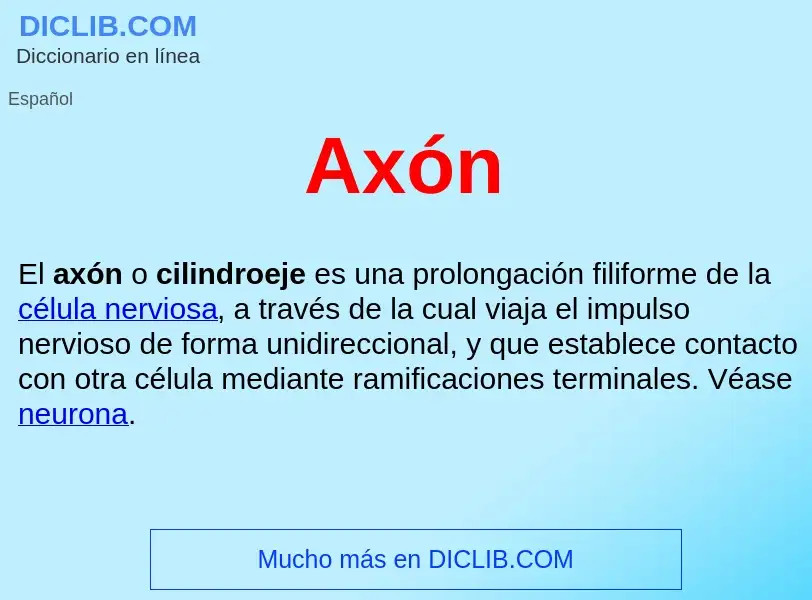 ¿Qué es Axón ? - significado y definición