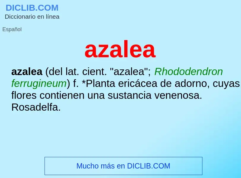 What is azalea - definition