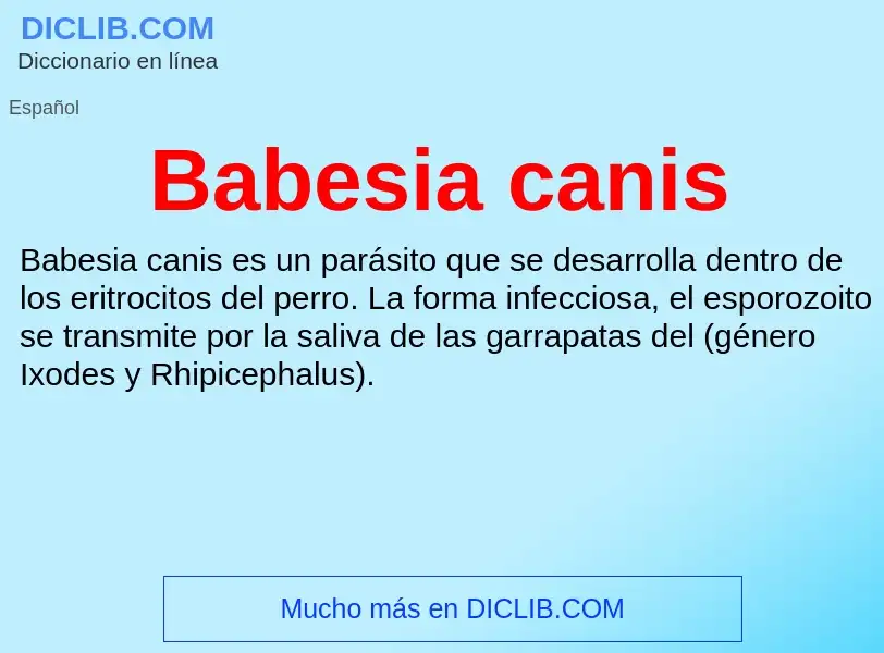 Τι είναι Babesia canis - ορισμός