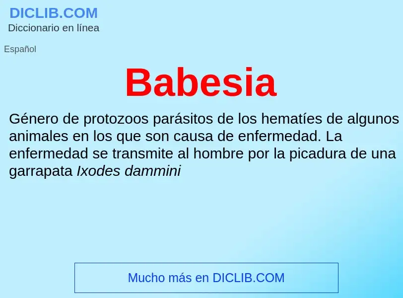 What is Babesia - definition