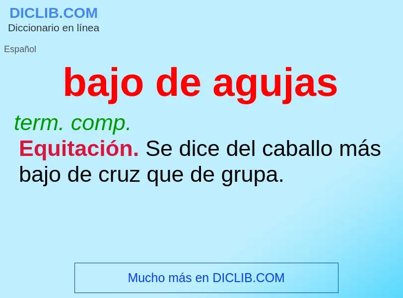 Wat is bajo de agujas - definition