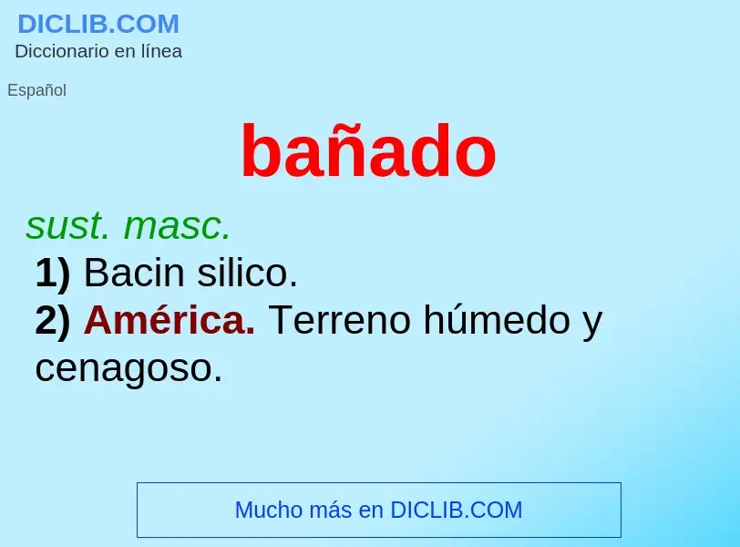 What is bañado - definition