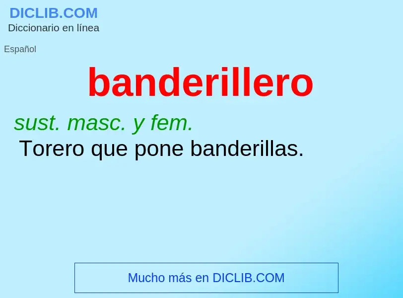 What is banderillero - meaning and definition