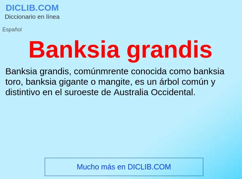 O que é Banksia grandis - definição, significado, conceito