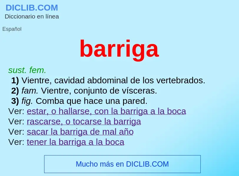 Wat is barriga - definition