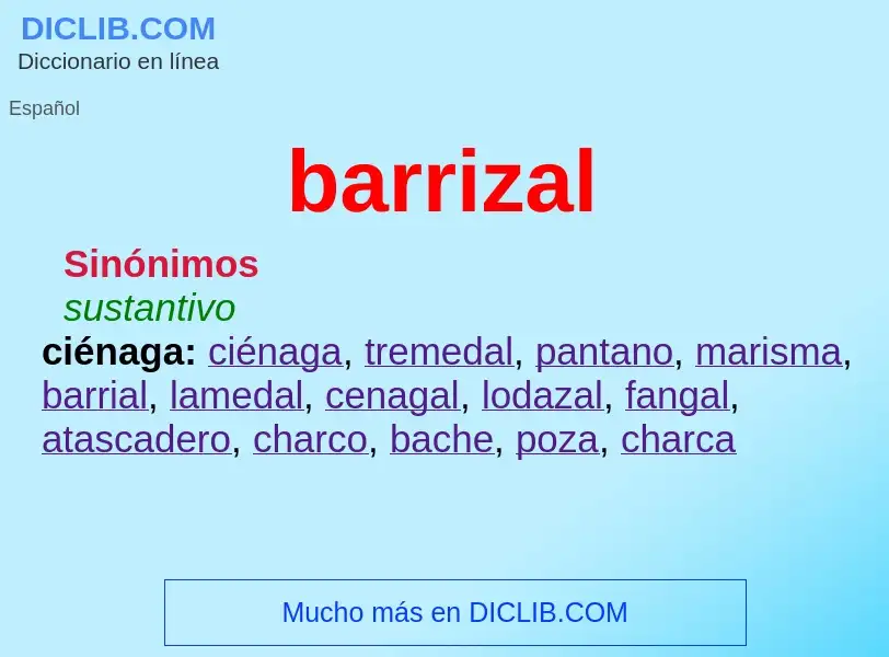 Che cos'è barrizal - definizione