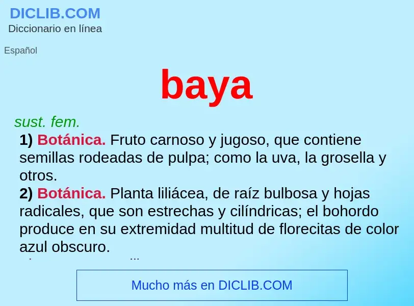 ¿Qué es baya? - significado y definición