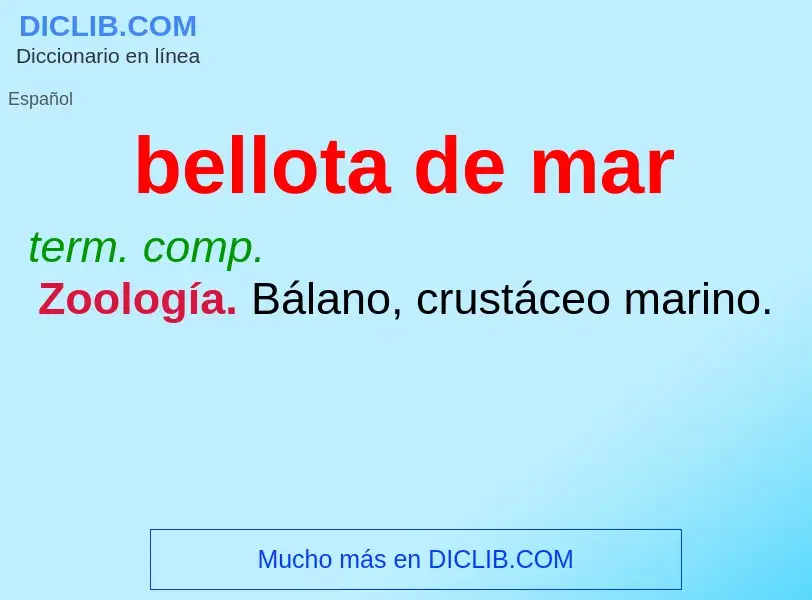 Was ist bellota de mar - Definition