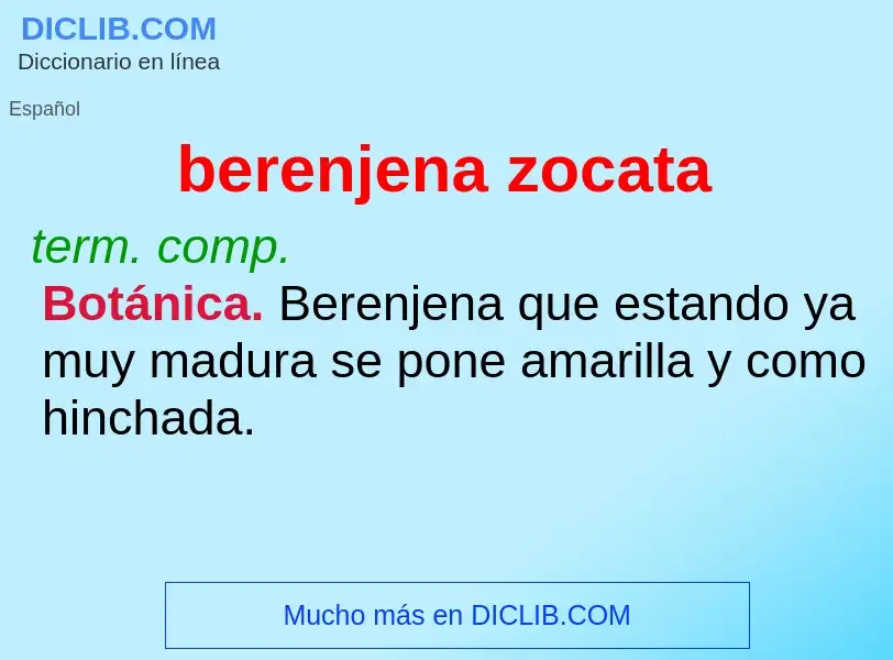 Wat is berenjena zocata - definition